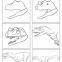 Hogyan rajzoljunk dinókat - 2